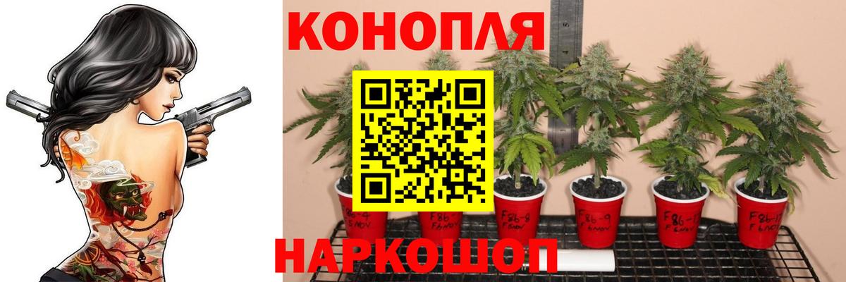 Марихуана White Widow  Канабис MAZAR  Конопля Ganja  Вход с VPN  Киселёвск  Марихуана сатива 